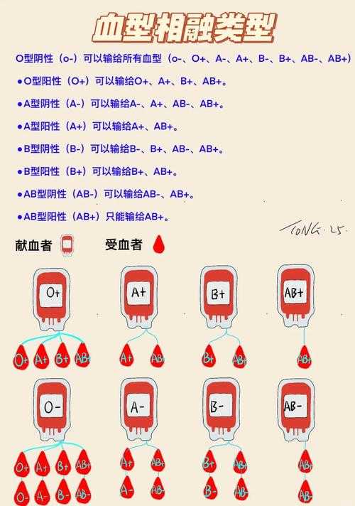DyZ独立版血型配对绝密攻略!血战生存必看救命指南