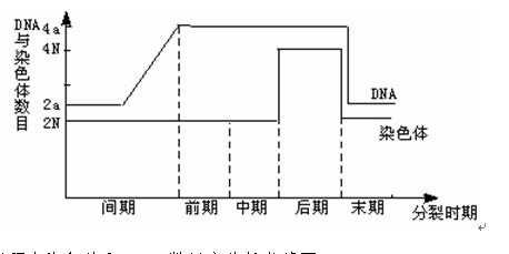 爆哭整理！星界边境隔离齐素材全坐标+路线图，再问我扣工资！